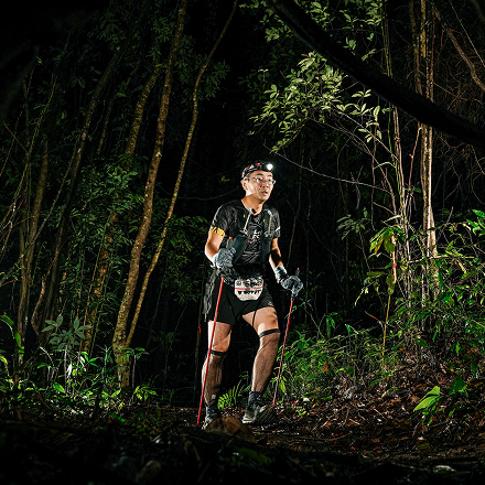 ジャングルでのアドベンチャーランの写真