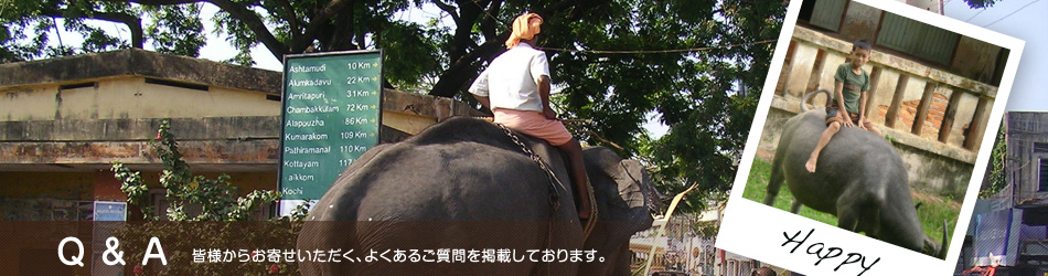 Q&Açš†æ§˜ã‹ã‚‰å¼Šç¤¾ã«ãŠå¯„ã›ã„ãŸã ãã€ã‚ˆãã‚ã‚‹ã”è³ªå•ã‚’æŽ²è¼‰ã—ã¦ãŠã‚Šã¾ã™ã€‚